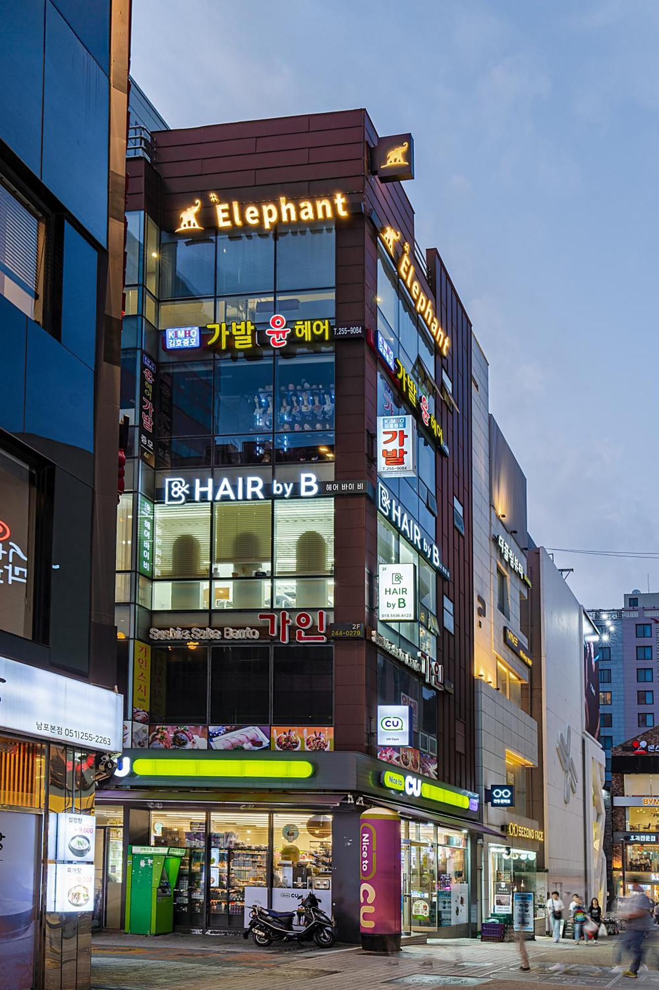 בוסאן Elephant מראה חיצוני תמונה